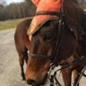 Meet your Posher, Ansley